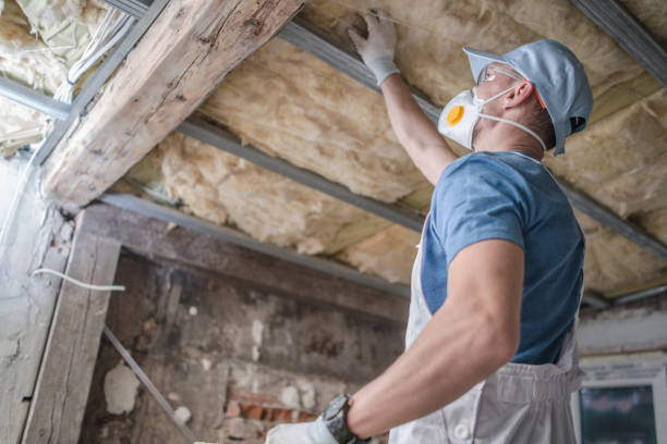Best Residential Insulation in Salisbury, MD