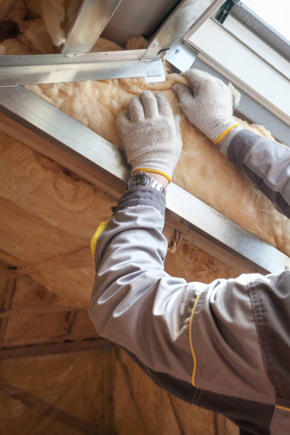 Professional Insulation Contractor in Salisbury, MD